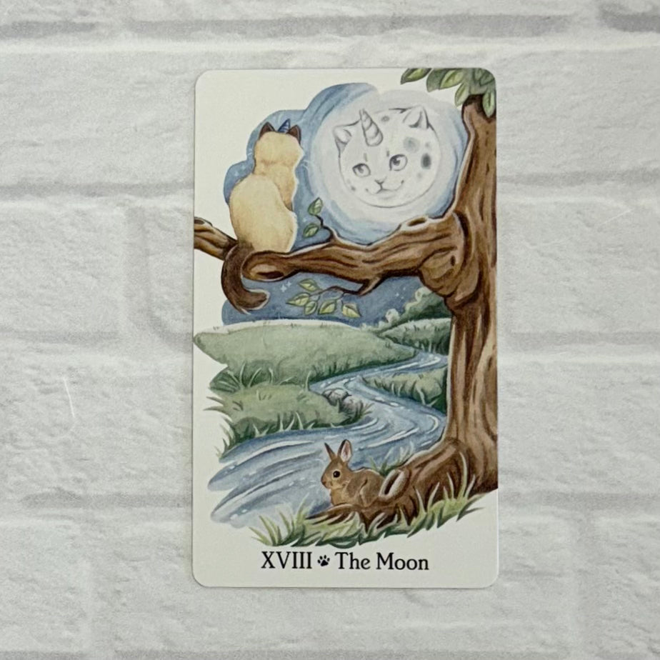 the moon tarot card