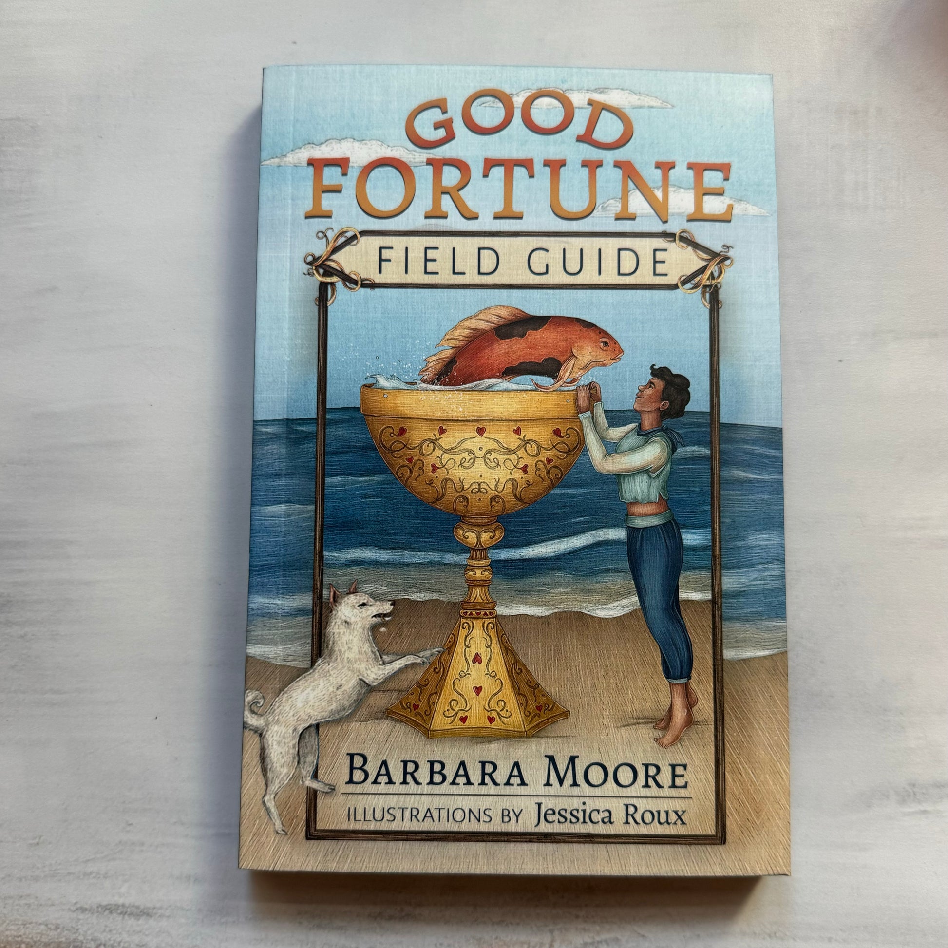 Front of Good Fortune book