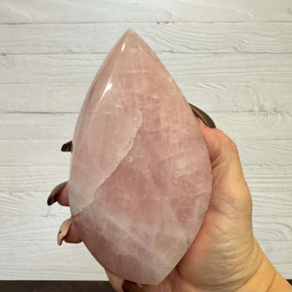 A hand holding a large, polished pink rose quartz crystal against a white wood-paneled background.