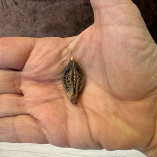 A small dried seed or pod with a gold loop at the top resting on an open human hand.