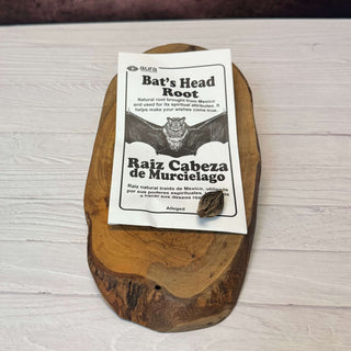 A small dark brown bat's head root pod rests on a printed white product card labeled 'Bat's Head Root' and 'Raíz Cabeza de Murcielago,' placed on an oval natural wood slice board over a white wood surface.