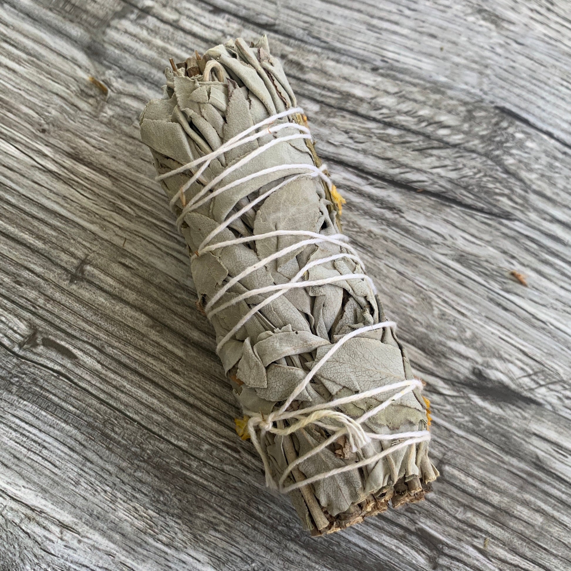 White Sage and Yellow Sea Lavender Smudge Stick