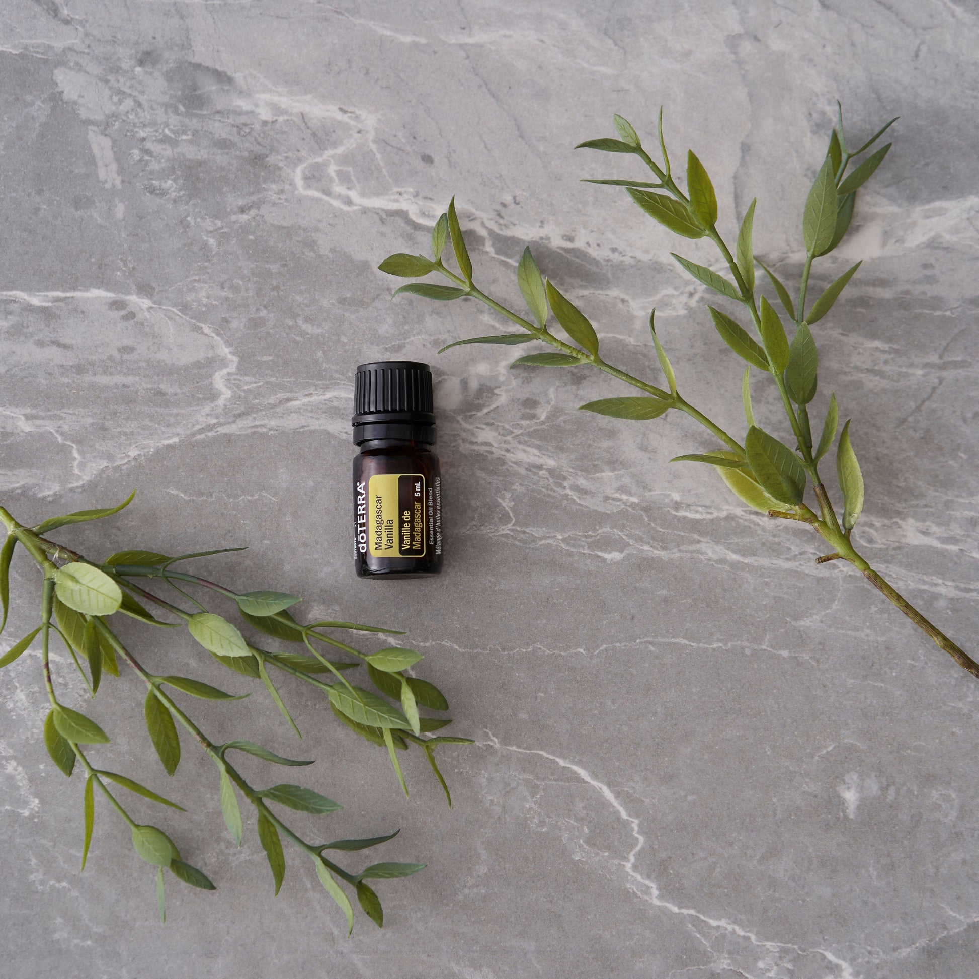 doTERRA Essential Oil bottle with green leaves on a gray marble surface