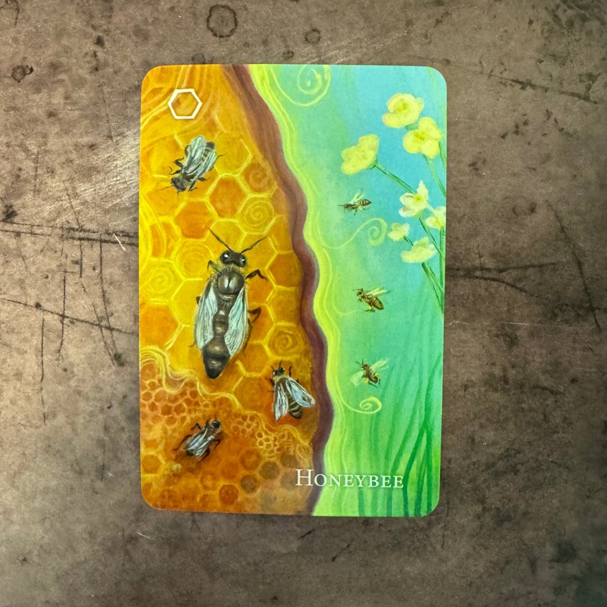 A Witch's Ally Oracle By Dodge Gramah McKay - The Mystical Moon Online Store