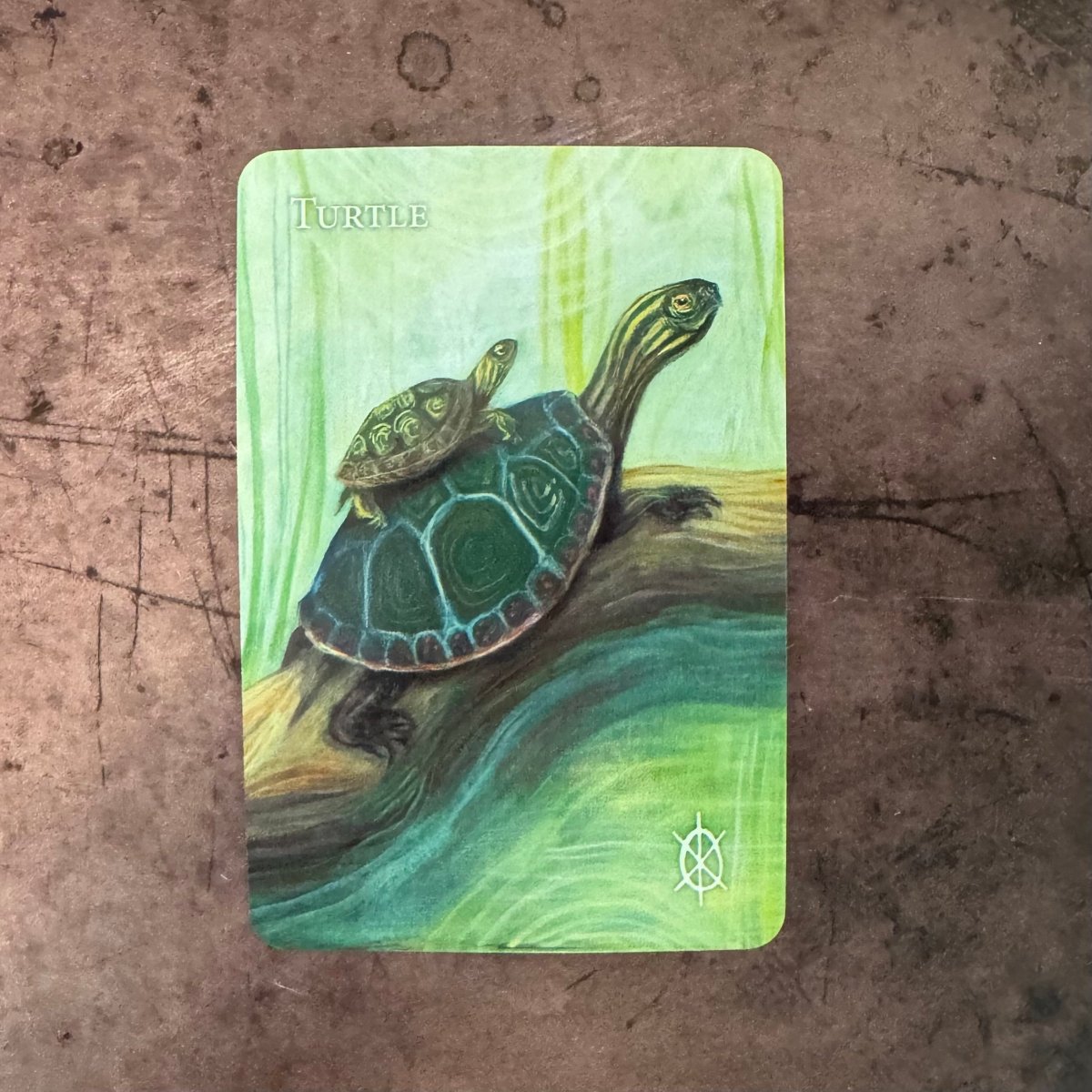 A Witch's Ally Oracle By Dodge Gramah McKay - The Mystical Moon Online Store