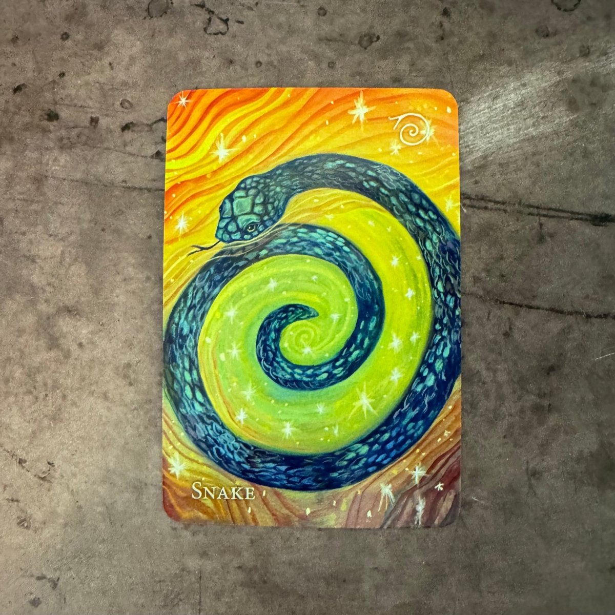 A Witch's Ally Oracle By Dodge Gramah McKay - The Mystical Moon Online Store