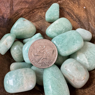 Amazonite Tumbled Crystal - The Mystical Moon Online Store