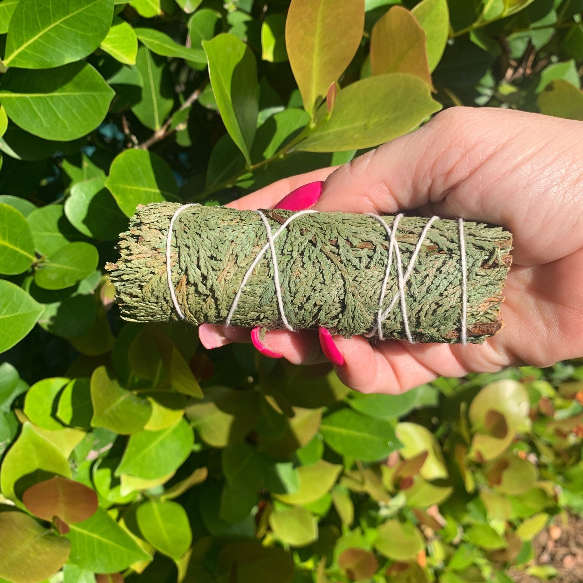 Cedar Smudge Stick - The Mystical Moon Online Store