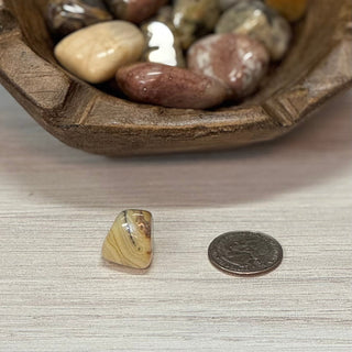 Crazy Lace Agate Tumbled Crystal - The Mystical Moon Online Store
