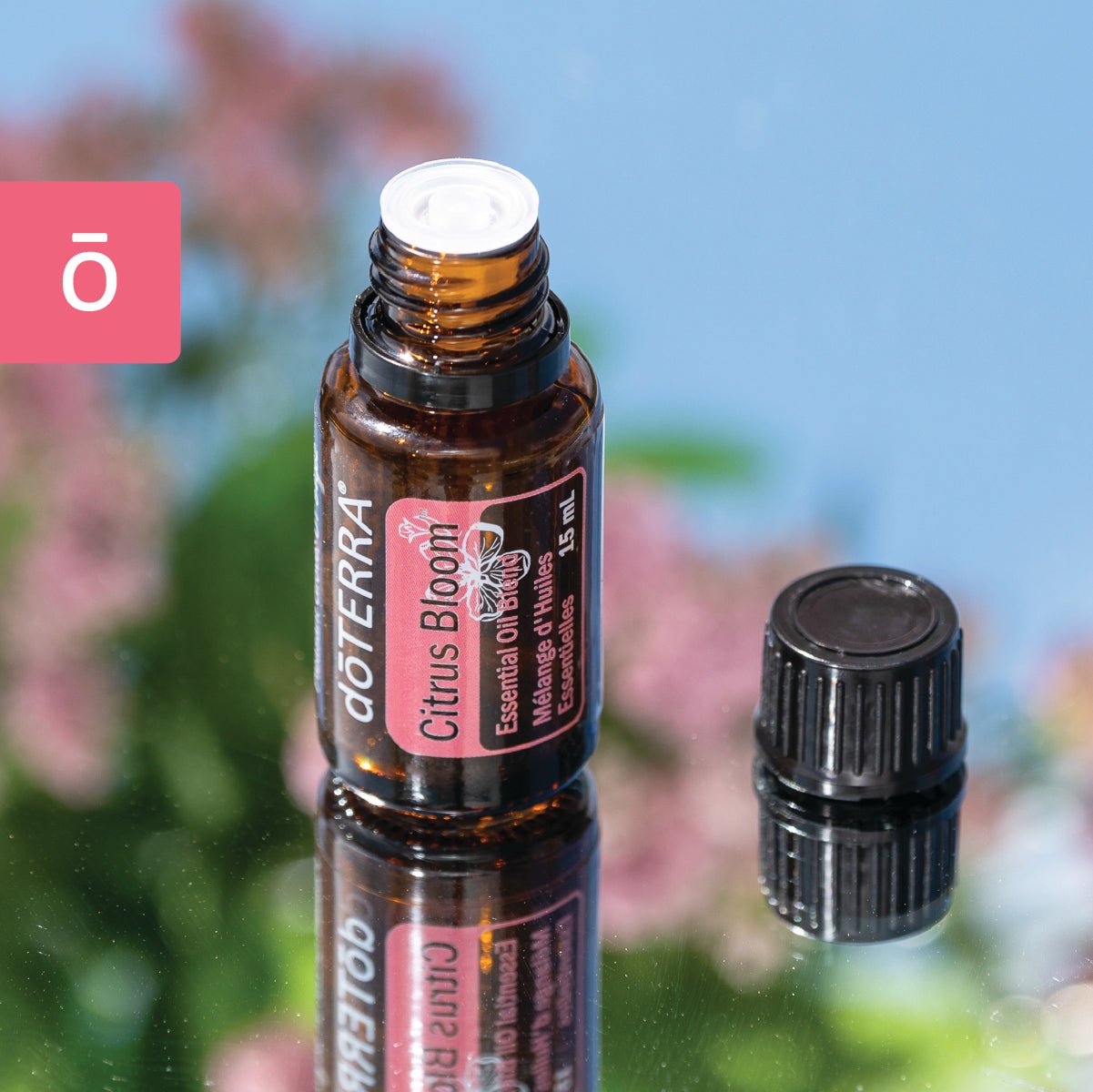 doTERRA Citrus Bloom Essential Oil 15ML - The Mystical Moon Online Store