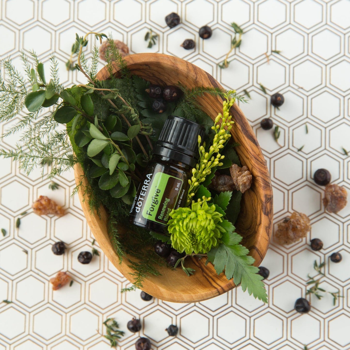 doTERRA Forgive Essential Oil 5 ML - The Mystical Moon Online Store