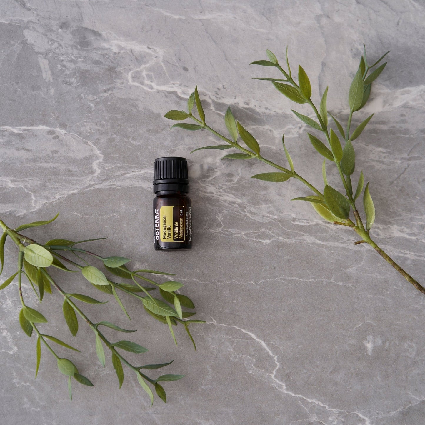doTERRA Madagascar Vanilla Essential Oil 5ml - The Mystical Moon Online Store