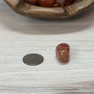 Fire Agate Tumbled Crystal - The Mystical Moon Online Store