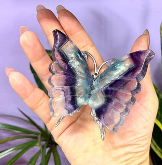 Fluorite Butterfly Crystal with Stand — Natural Healing Stone - The Mystical Moon Online Store