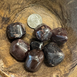 Garnet Tumbled Crystal - The Mystical Moon Online Store