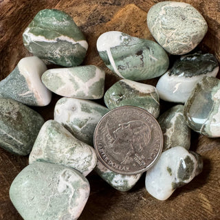 Green Sardonyx Tumbled Crystal - The Mystical Moon Online Store