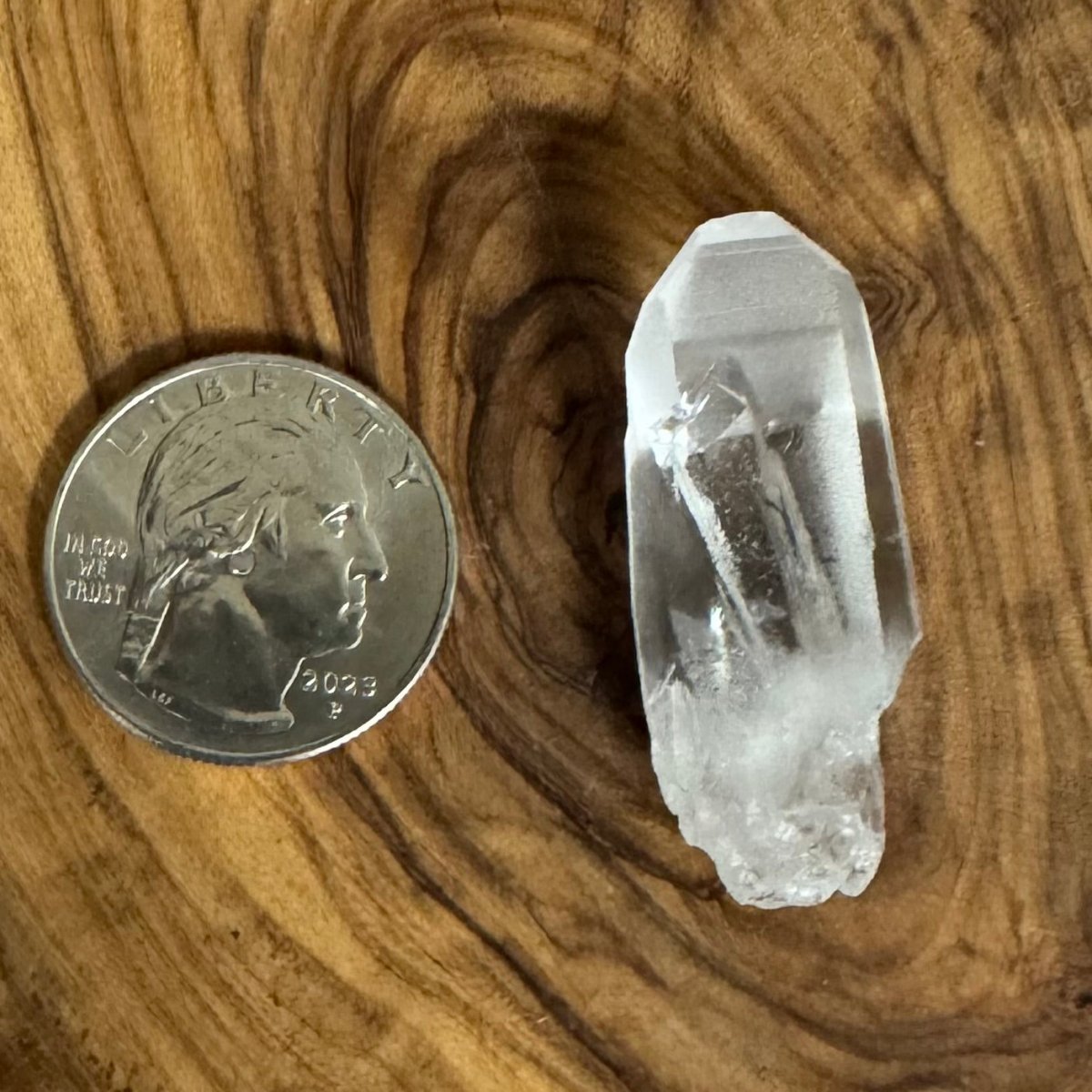 Lemurian Seed Crystal Wand – Mini Light Activation Tool (1”) - The Mystical Moon Online Store