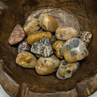 Leopard Jasper Tumbled Crystal - The Mystical Moon Online Store