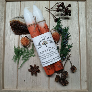 Lucky Day Herbal Intention Candles - The Mystical Moon