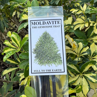 Moldavite packaging with a label in front of green foliage