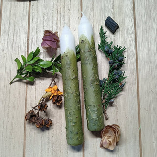 Money Herbal Intention Candles - The Mystical Moon Online Store