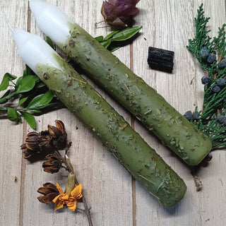 Money Herbal Intention Candles - The Mystical Moon Online Store