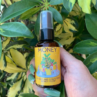 Money Spray - The Mystical Moon Online Store