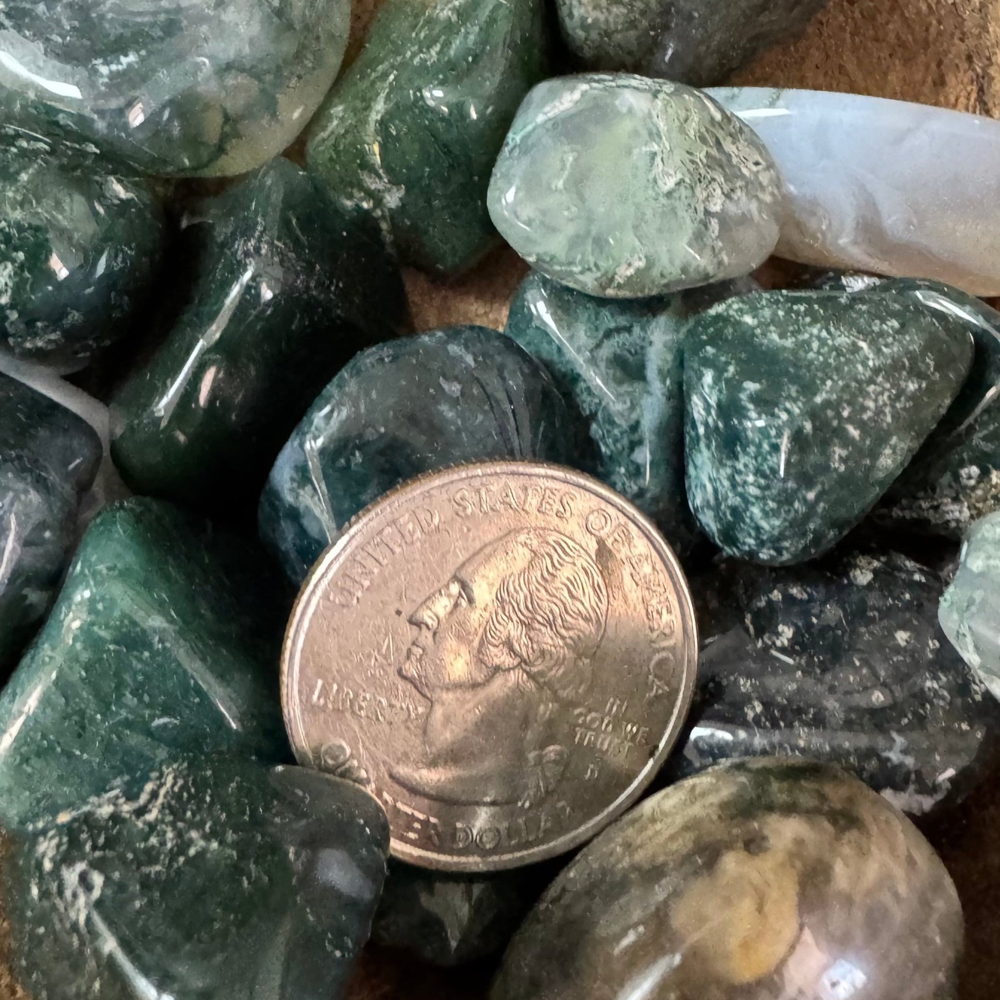 Moss Agate Tumbled Crystal - The Mystical Moon Online Store