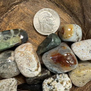 Ocean Jasper Tumbled Crystal - The Mystical Moon Online Store