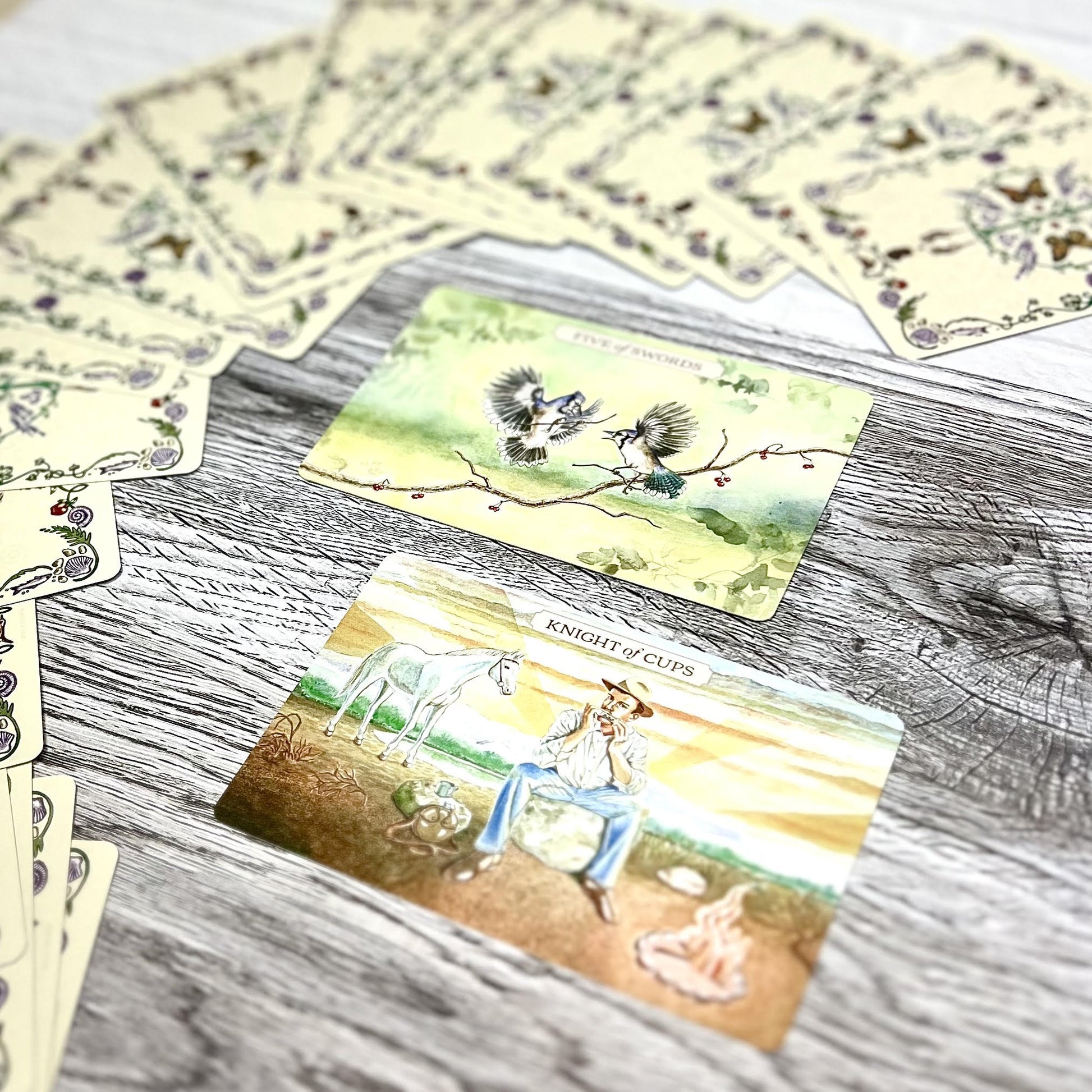 Pastoral Tarot by Lynn Araujo - The Mystical Moon Online Store