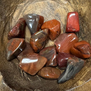 Petrified Wood Tumbled Crystal - The Mystical Moon Online Store