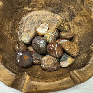 Pietersite Tumbled Crystal - The Mystical Moon Online Store
