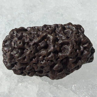 Prophecy Stone – Natural Rough Crystal Specimen - The Mystical Moon Online Store