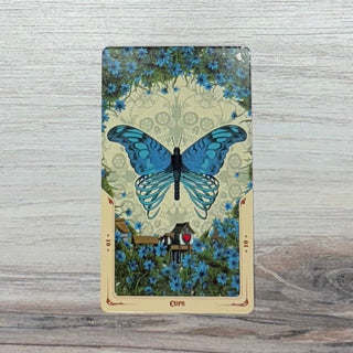 Santa Muerta Tarot by Fabio Listrani - The Mystical Moon Online Store