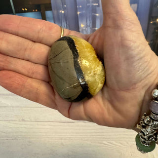 Septarian Palm - The Mystical Moon