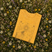 Heather Yellow Gold
