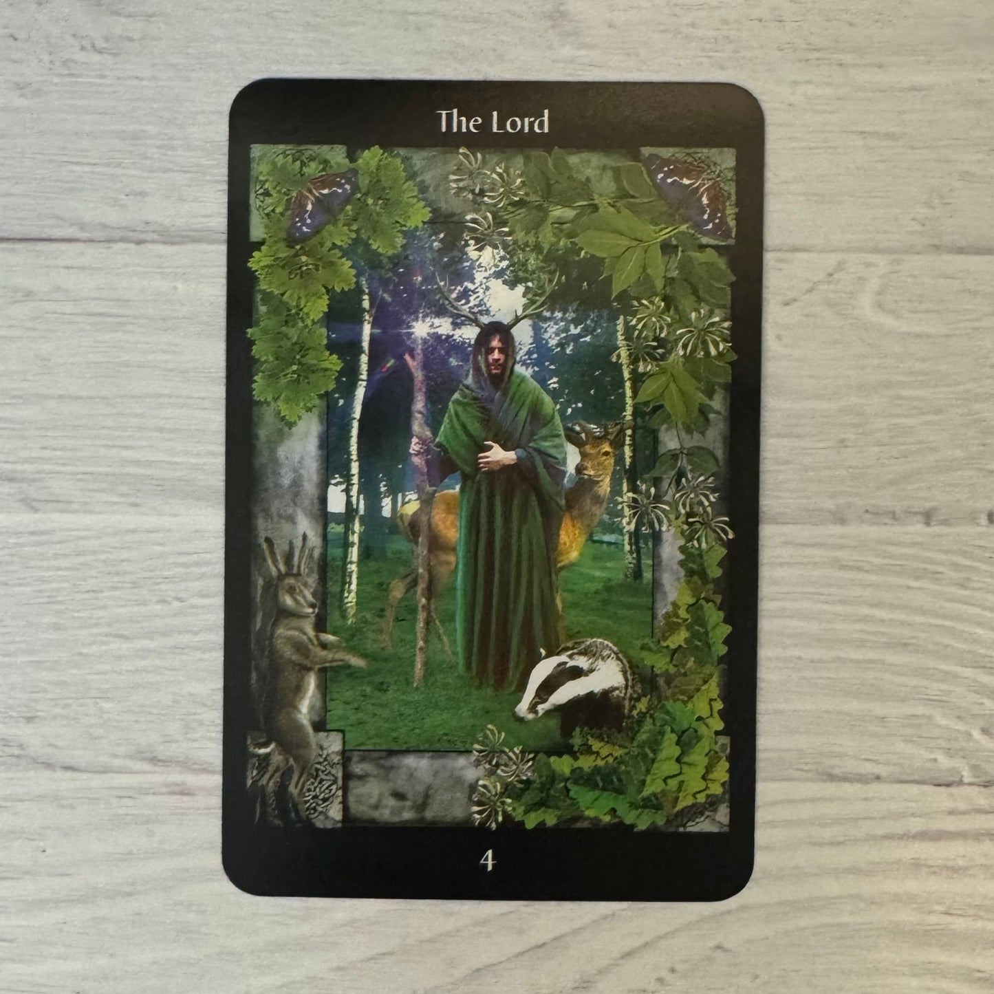 The Sacred Circle Tarot By Anna Franklin and Paul Mason - The Mystical Moon Online Store