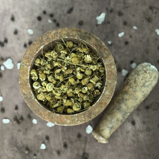 Mortar and pestle with dried herbs on a textured surface