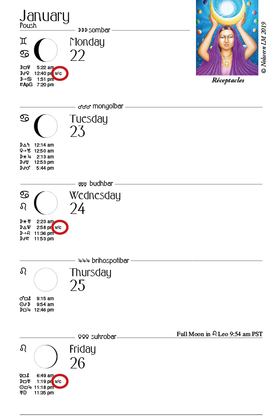 2025 We'Moon Datebook: Moon Calendar & Astrological Planner by Mother Tongue Ink