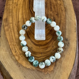 Tree Agate Beaded Bracelet 8mm - The Mystical Moon Online Store