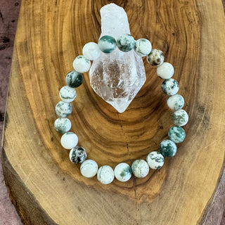 Tree Agate Beaded Bracelet 8mm - The Mystical Moon Online Store