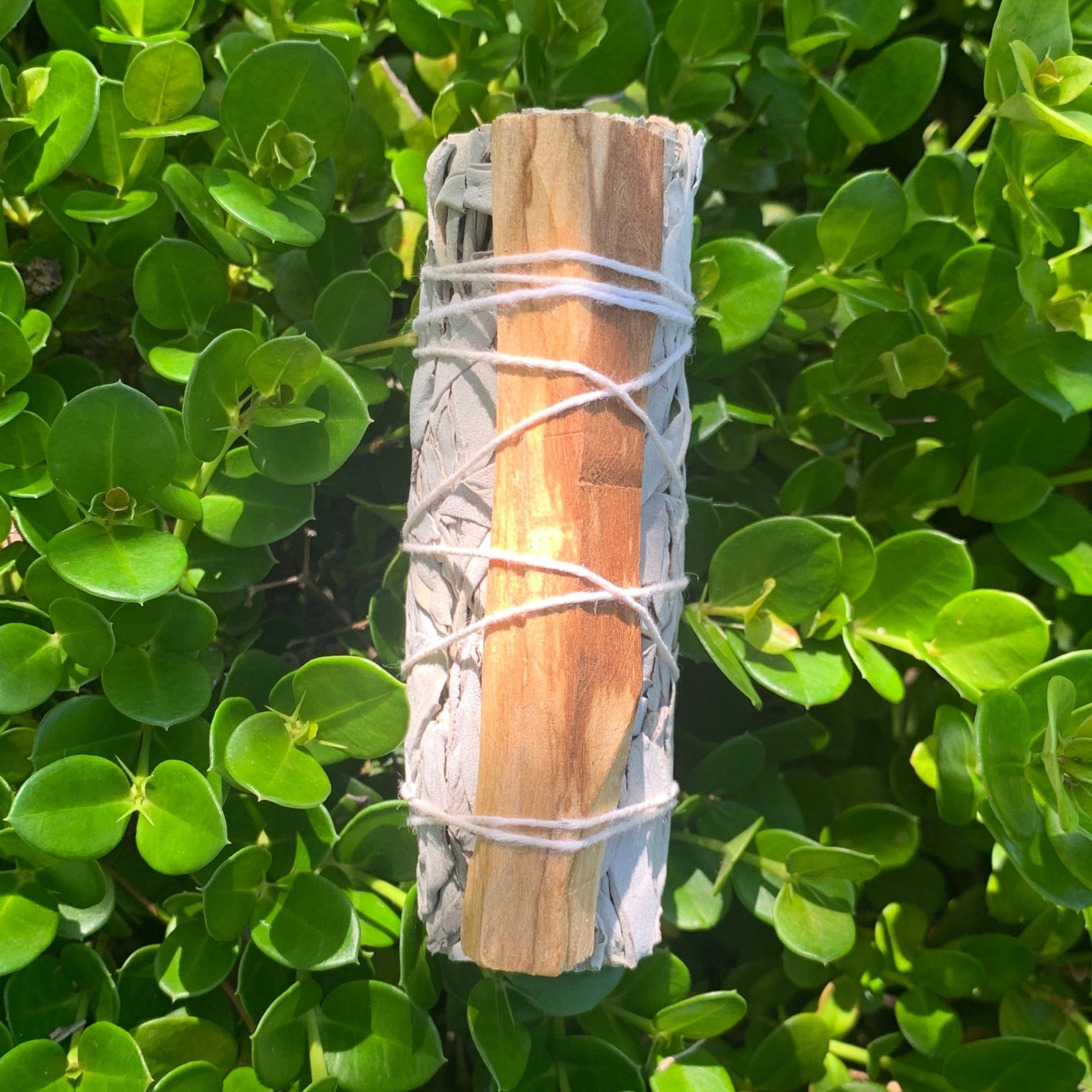 White Sage and Palo Santo Smudge - The Mystical Moon Online Store