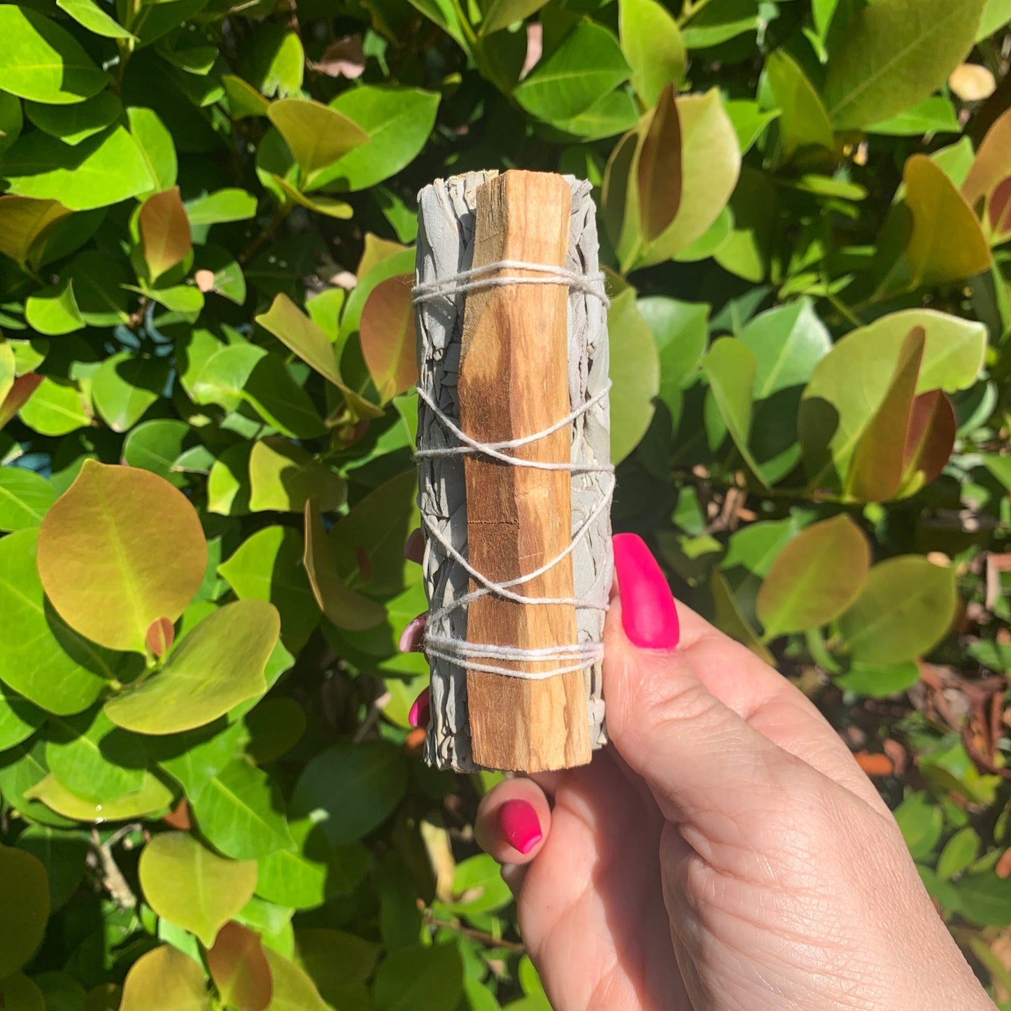 White Sage and Palo Santo Smudge - The Mystical Moon Online Store