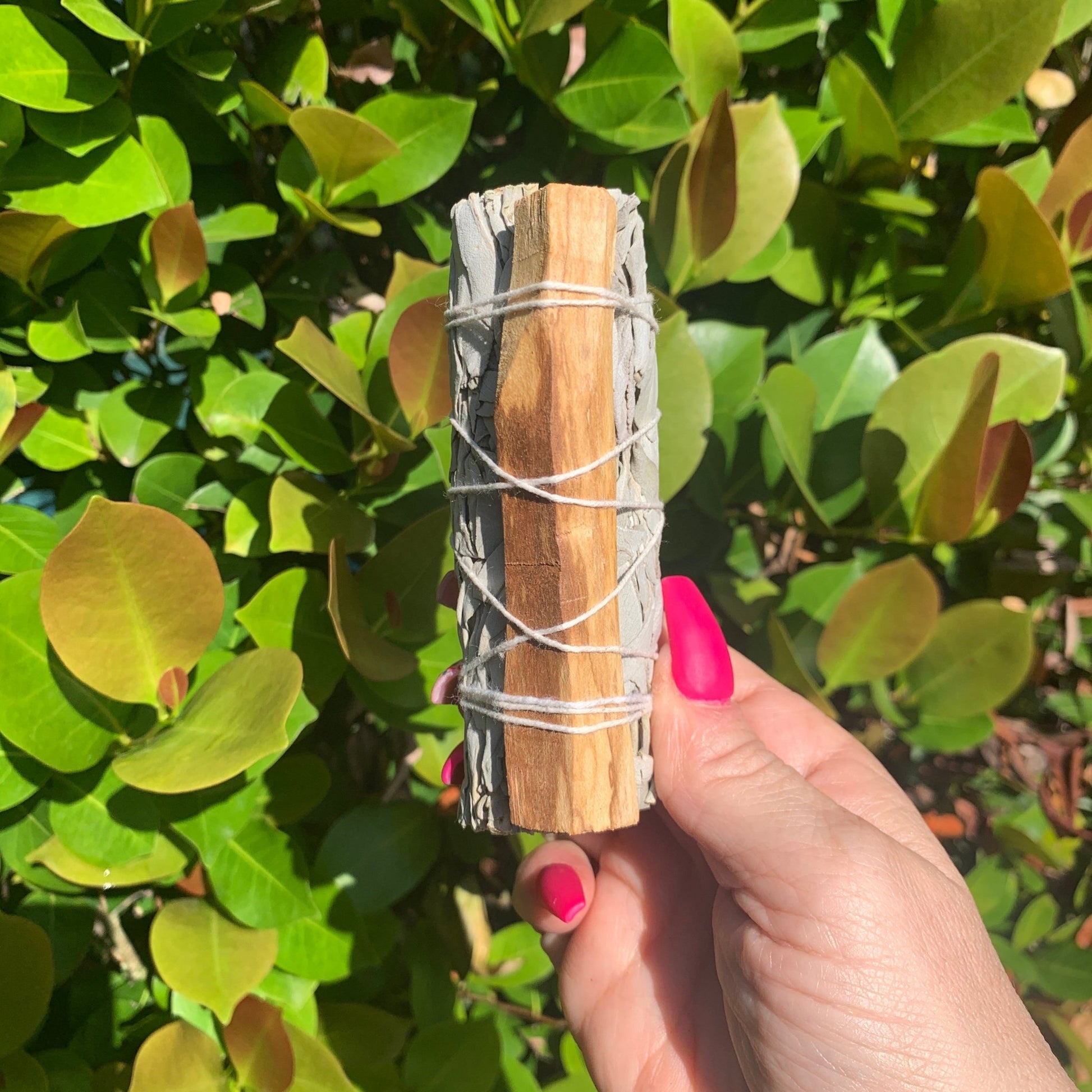 White Sage and Palo Santo Smudge - The Mystical Moon Online Store