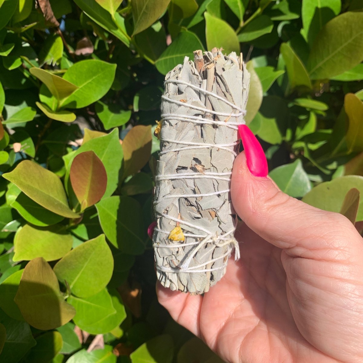 White Sage and Yellow Sea Lavender Smudge Stick - The Mystical Moon Online Store