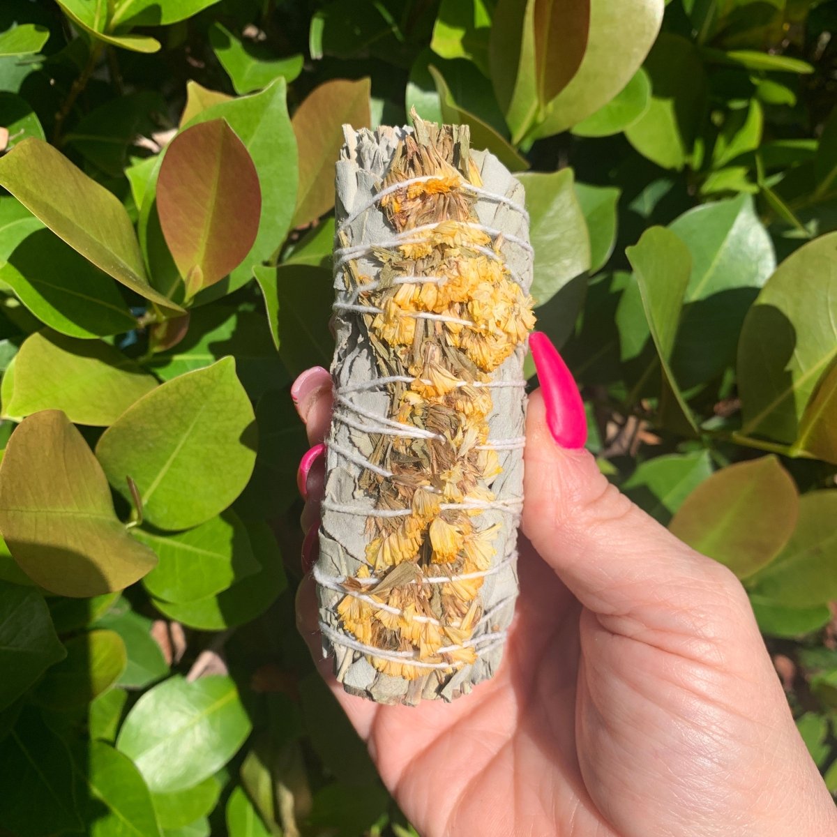 White Sage and Yellow Sea Lavender Smudge Stick - The Mystical Moon Online Store