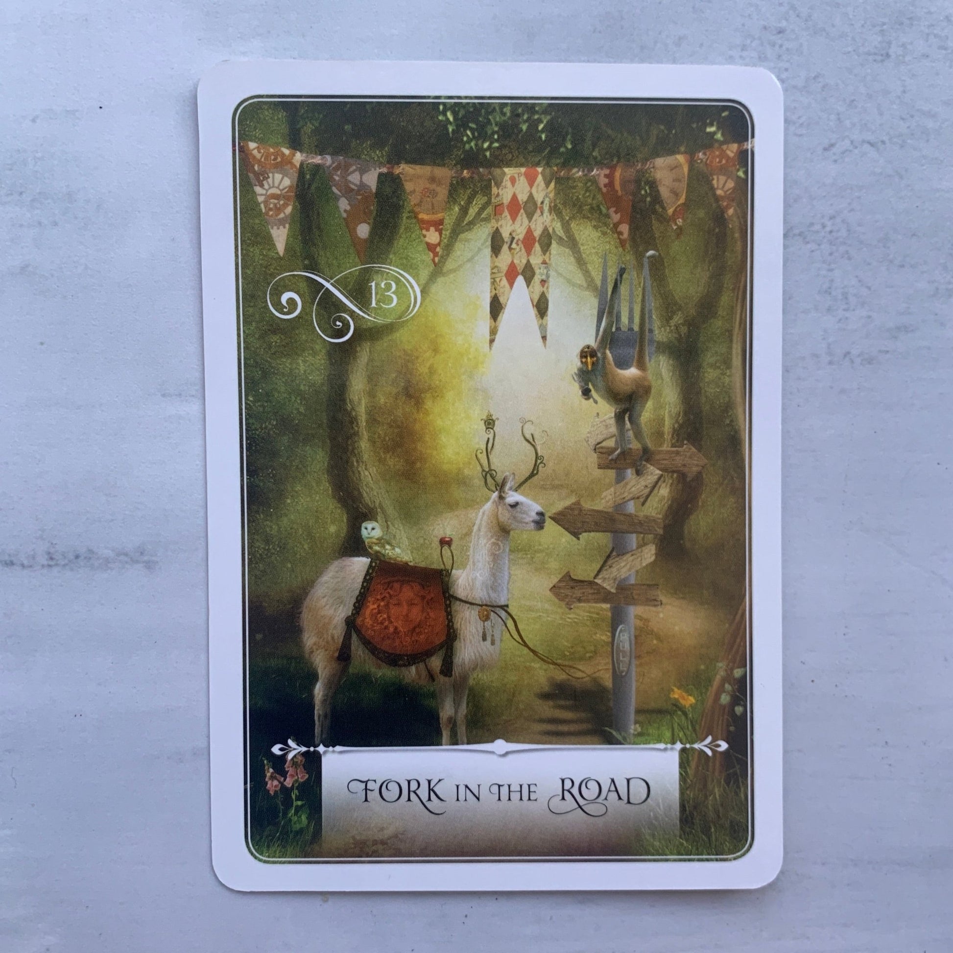 Wisdom of the Oracle Divination Cards by Colette Baron - Reid - The Mystical Moon Online Store