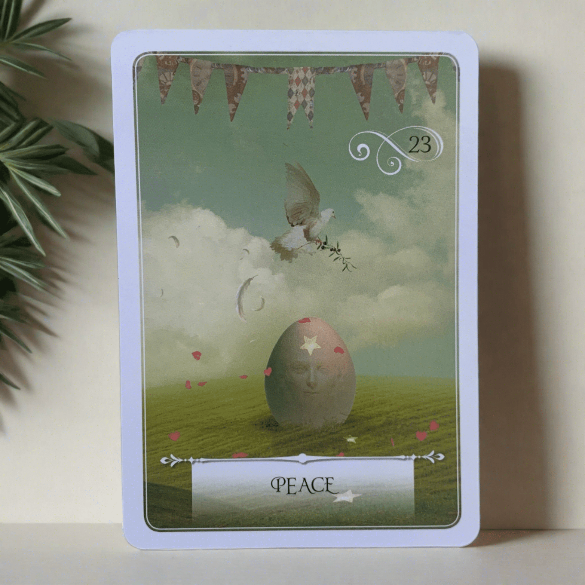 Wisdom of the Oracle Divination Cards by Colette Baron - Reid - The Mystical Moon Online Store