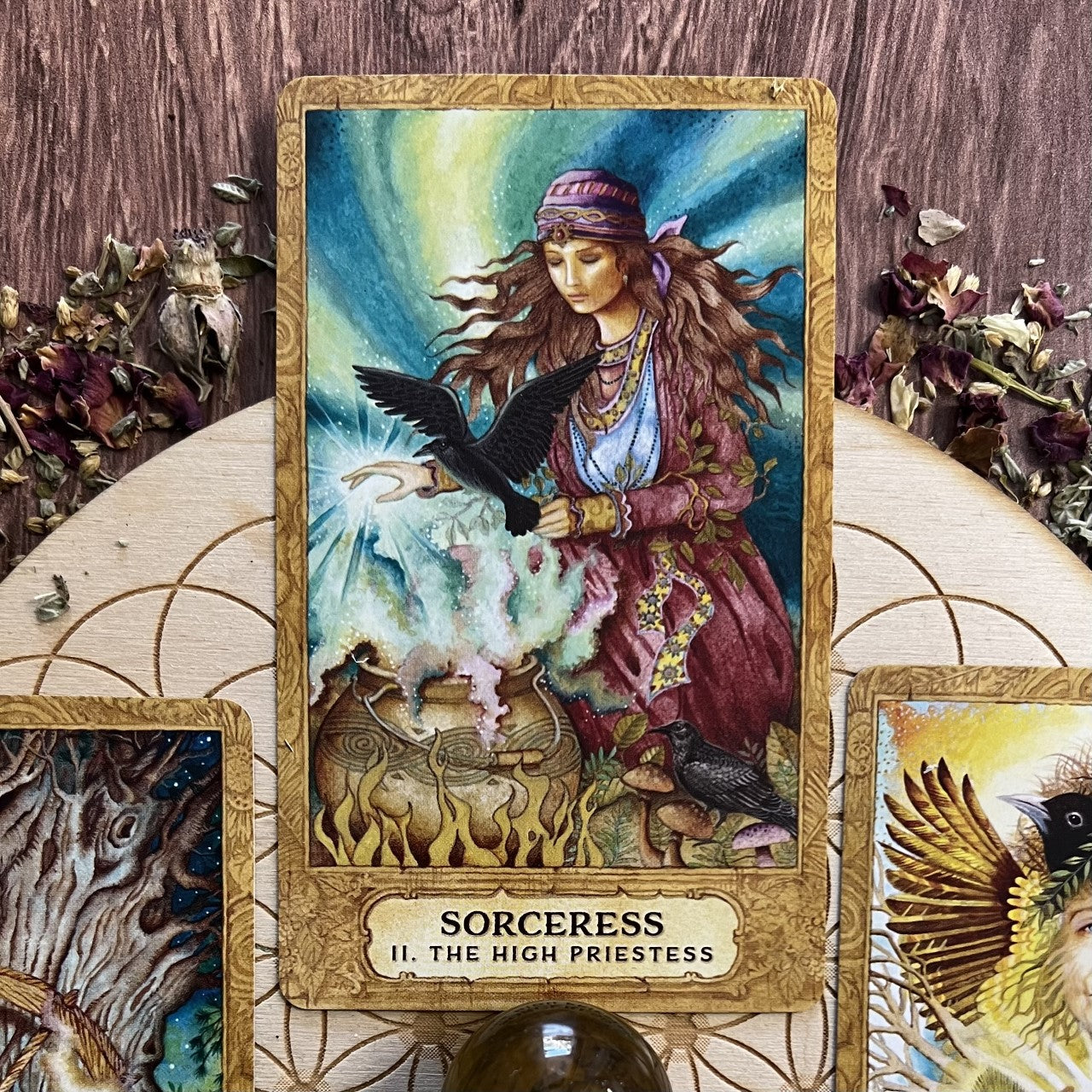 Chrysalis Tarot by  by Toney Brooks (Author), Holly Sierra (Artist)