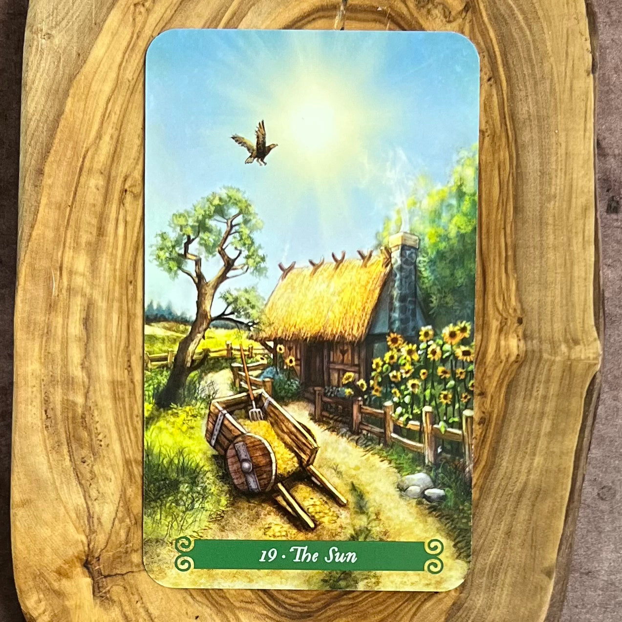 The Green Witch Tarot by Ann Moura and, Kiri Leonard